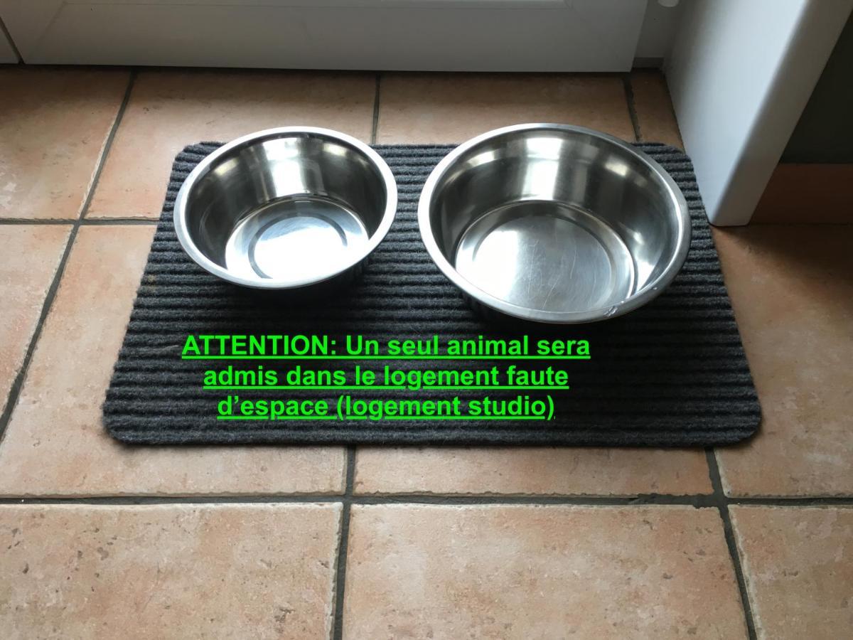 Studio "Pause A La Naturelle" Wimereux- Cote D'Opale Ngoại thất bức ảnh